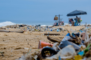 Cape Town Clamps Down on Single-Use Plastic