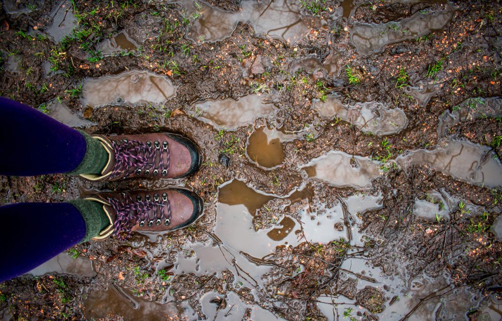 A Rain-Soaked Adventure in the Boosmansbos Wilderness Area