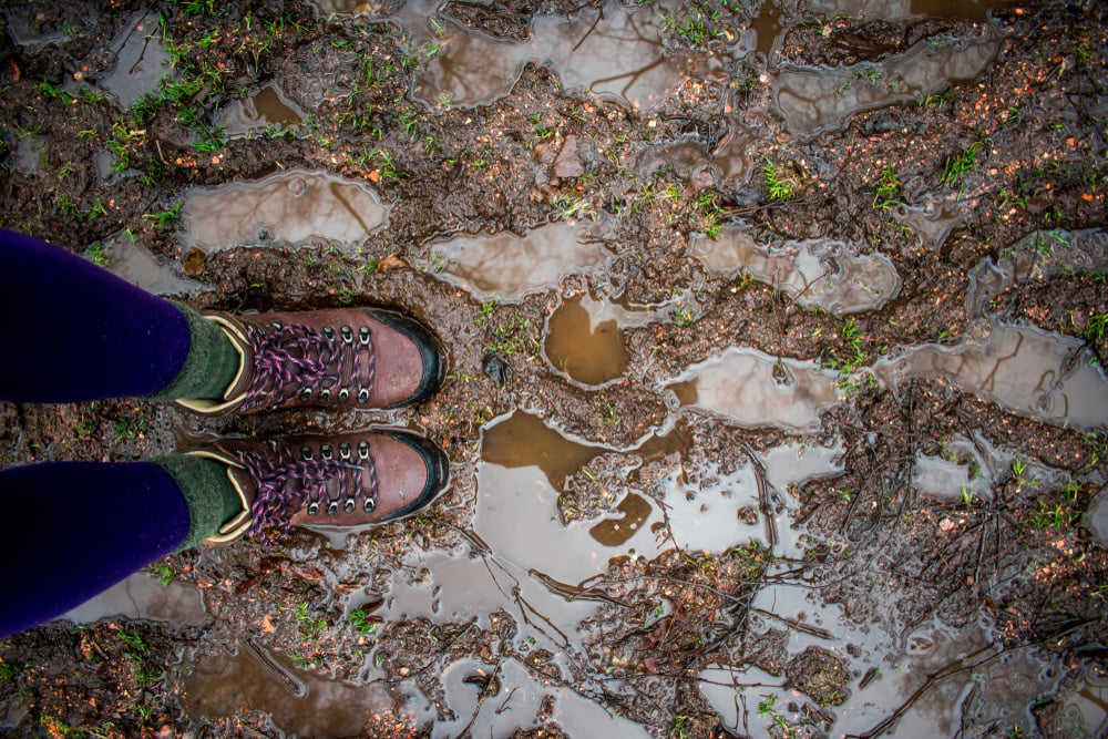 A Rain-soaked Adventure in the Boosmansbos Wilderness Area_web