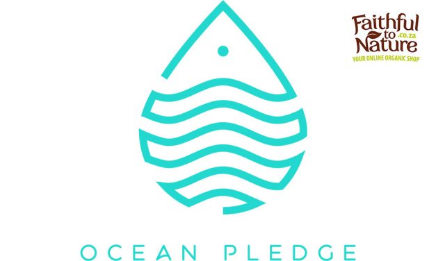 Oceans Pledge Soul Surfer