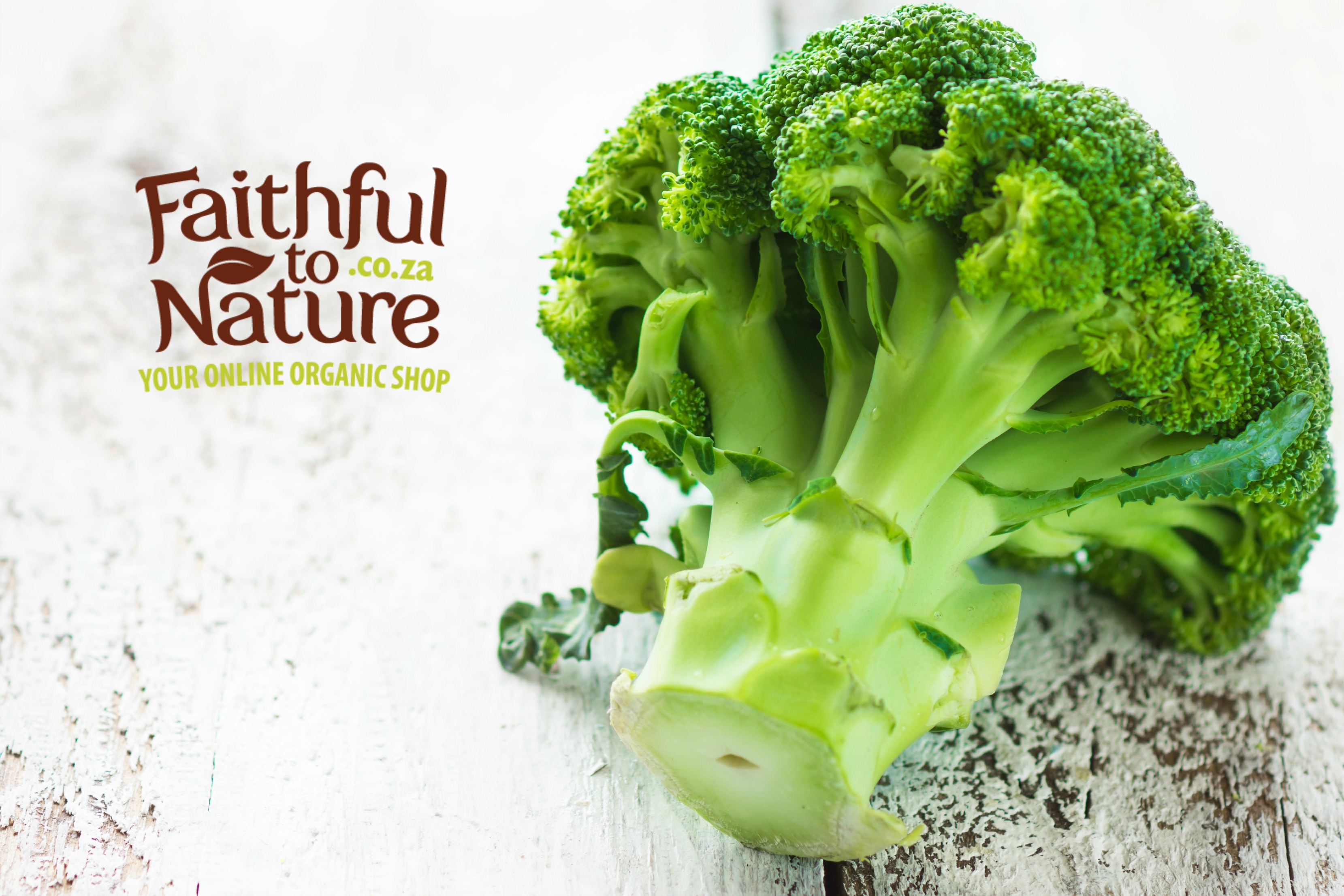 Broccoli Leaf - the new superfood