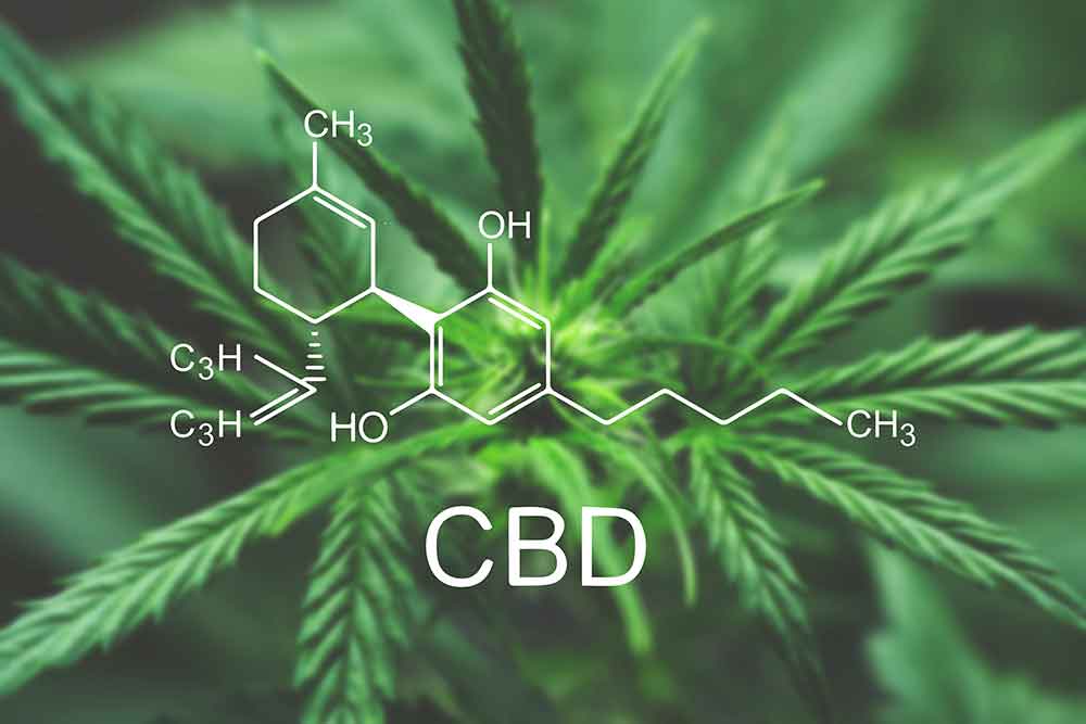 benefits uses of cbd oil