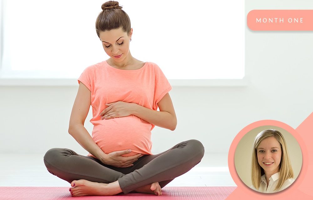 pregnancy month 1 a physiotherapist s professional opinion