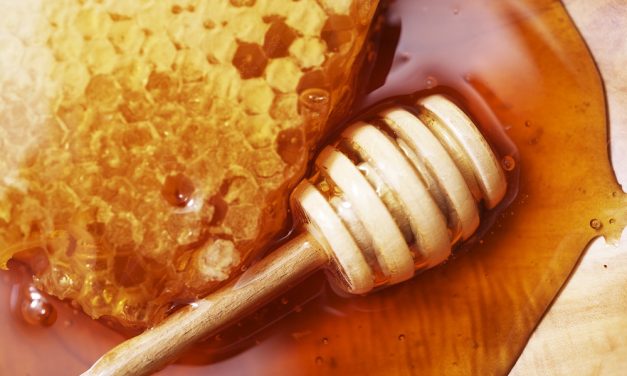 Raw Comb Honey
