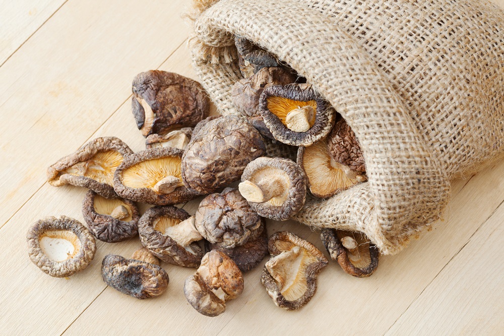 The Marvels of Medicinal Mushrooms