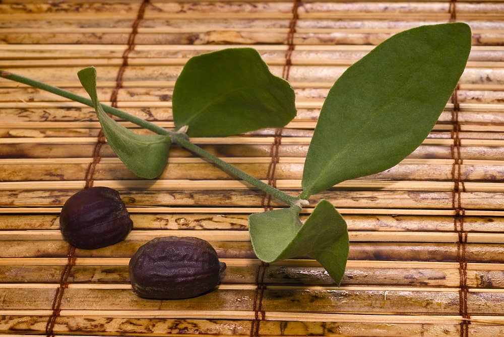 Jojoba Oil