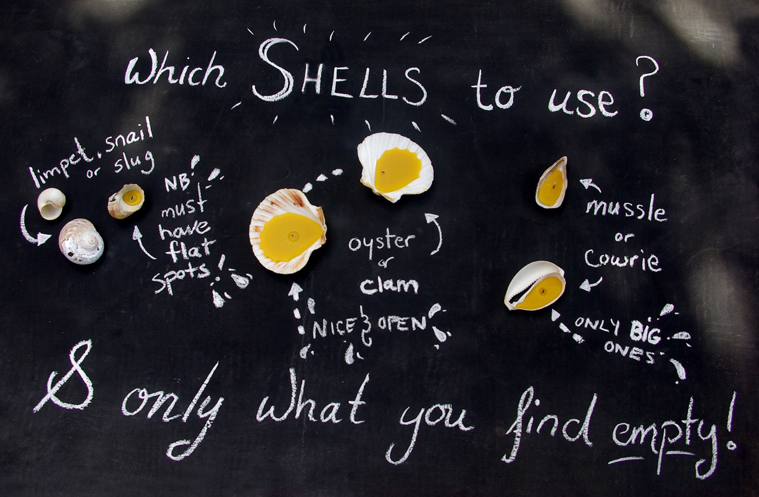 Easy DIY Seashell Candles Chalkboard