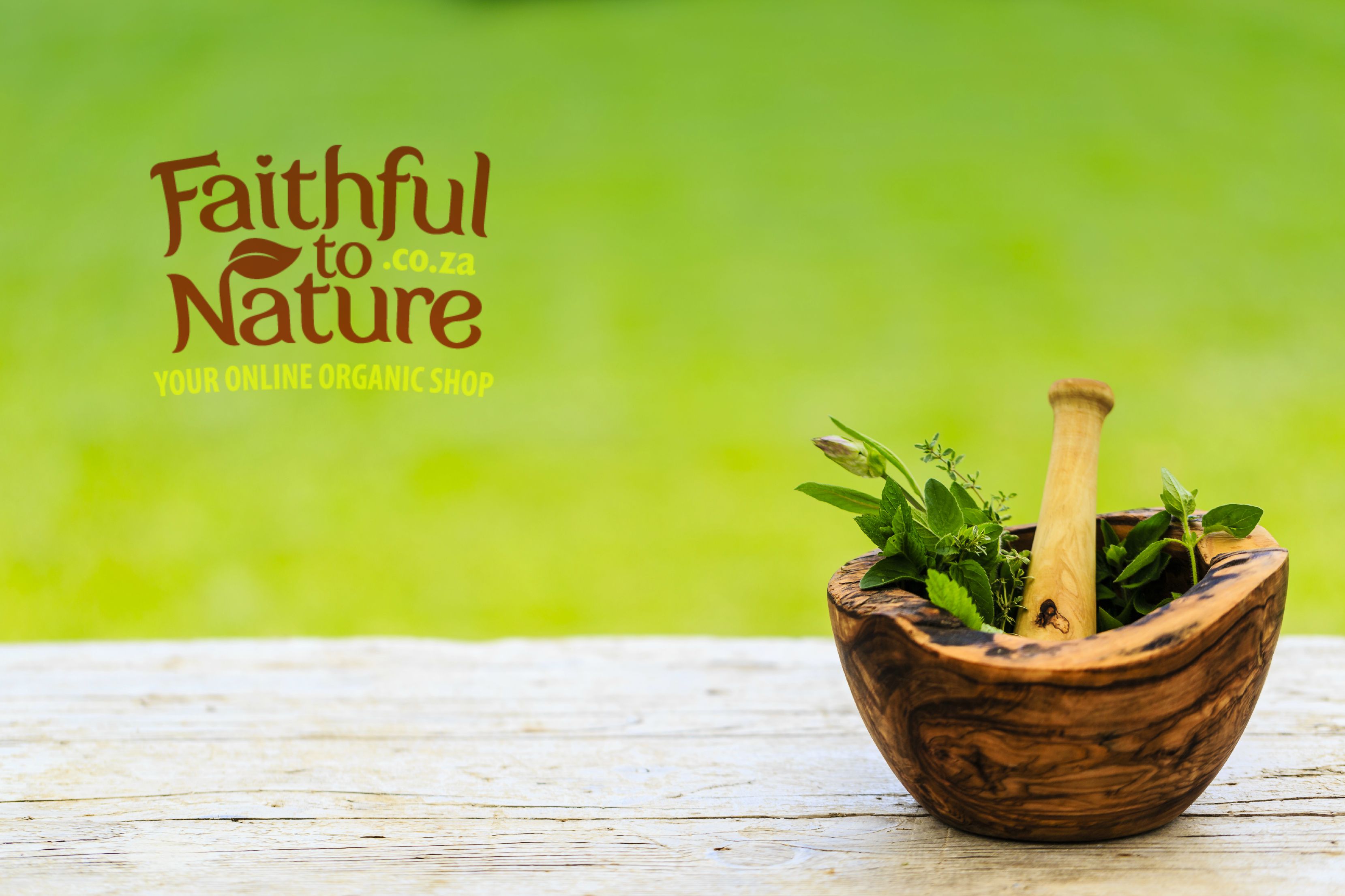 Natural Cures For Intestinal Parasites - toxoplasmosis