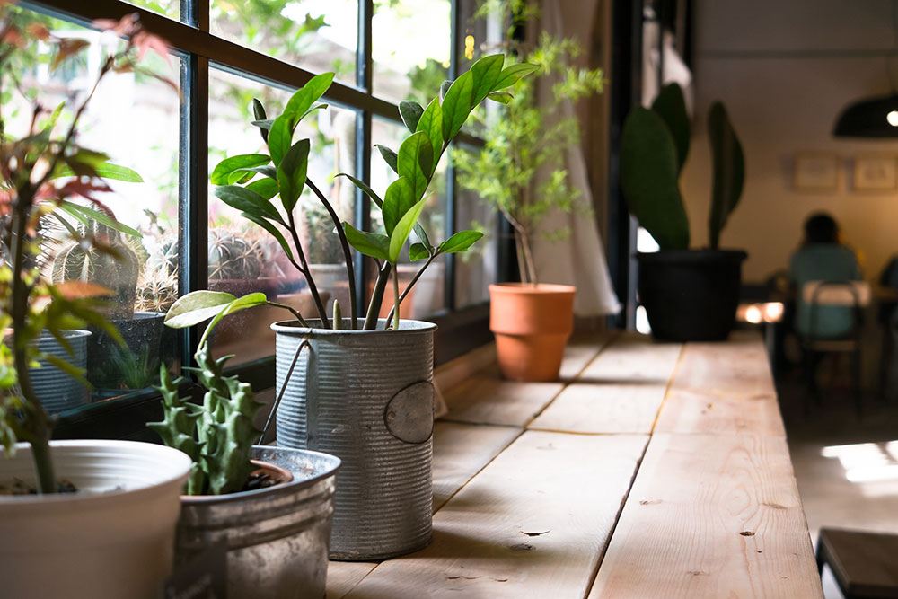 Garden-Kitchen_web