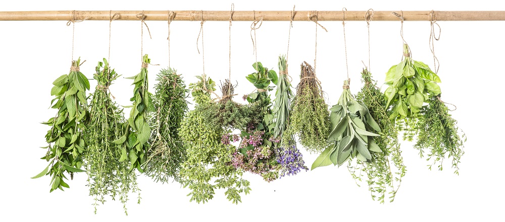 Herbs 2_web