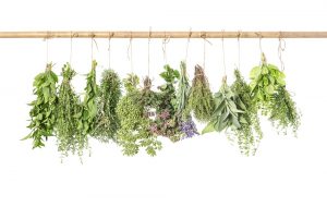 Herbs 2_web