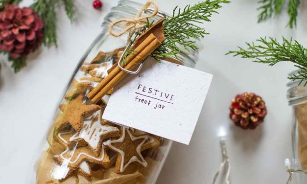 Grain free Vegan Gingerbread Cookie Jar – Gift Idea