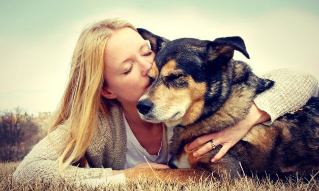 Natural Pet Care Tips for Winter