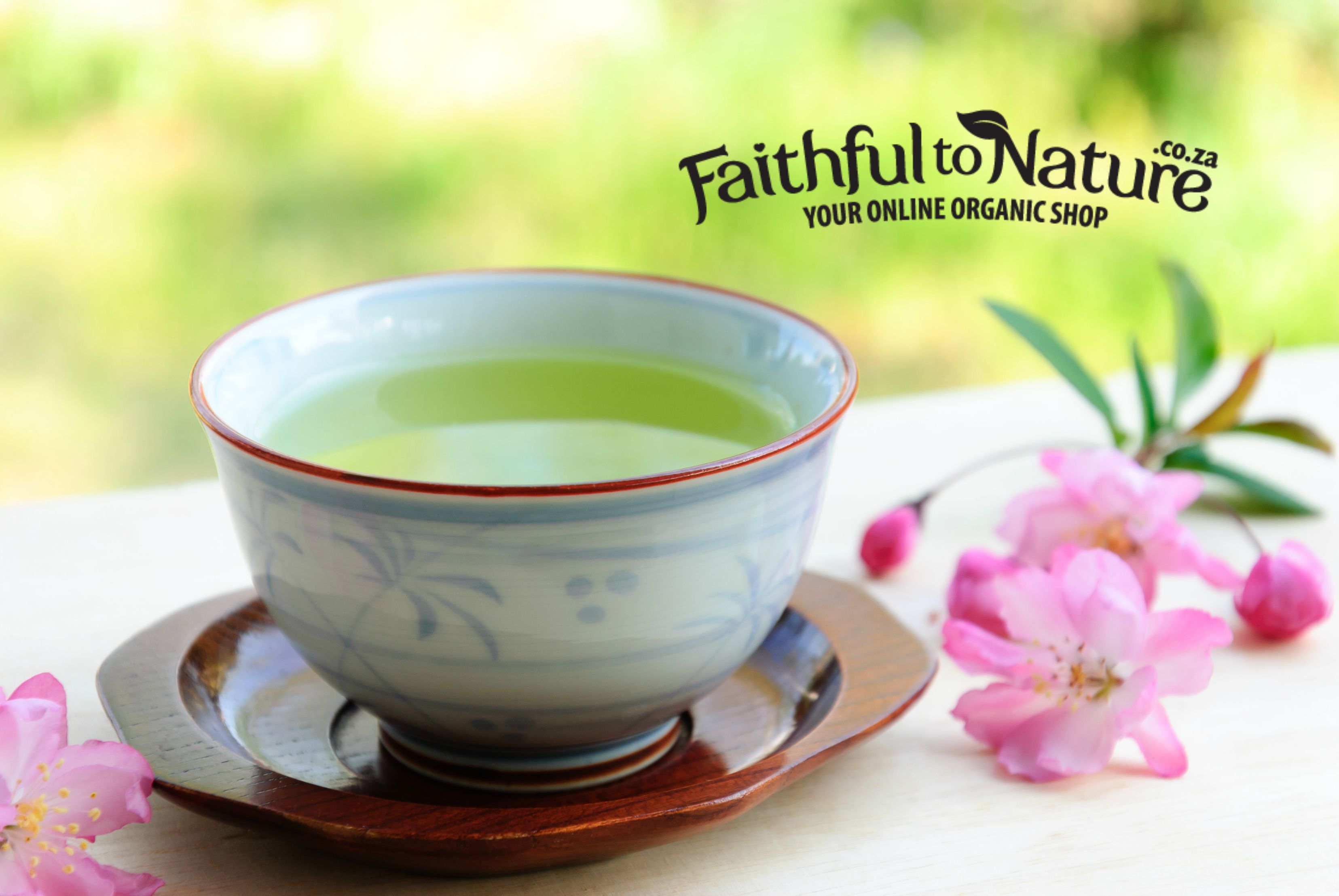 The low down on Matcha
