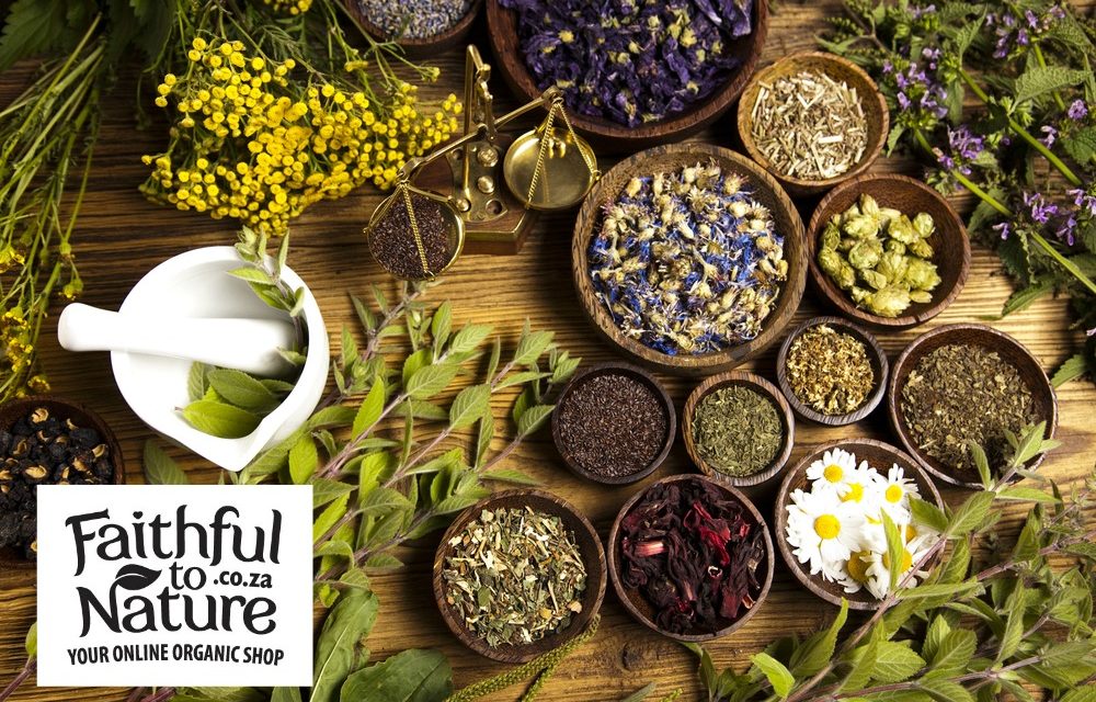 Top 10 Herbs for Your Health Faithful to Nature Natural and Organic Blog