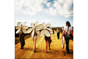 Walking The Daisies