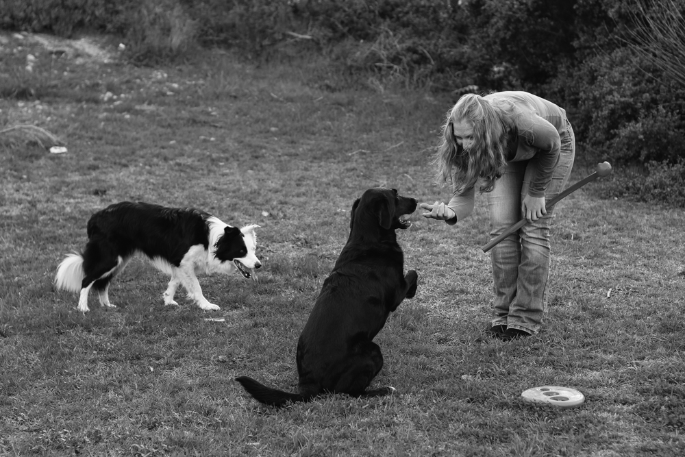 Jolene Bertoldi - Faithful to Nature