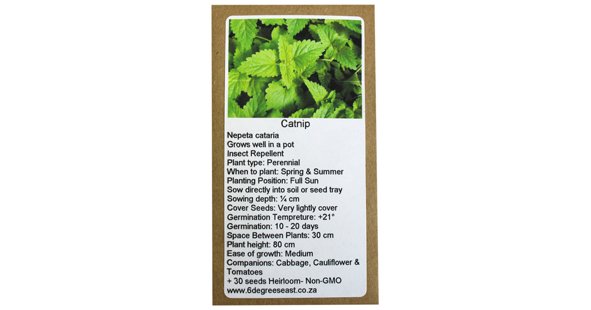 Buy 6 Degrees East Heirloom Herb Seeds - Catnip Online | Faithful