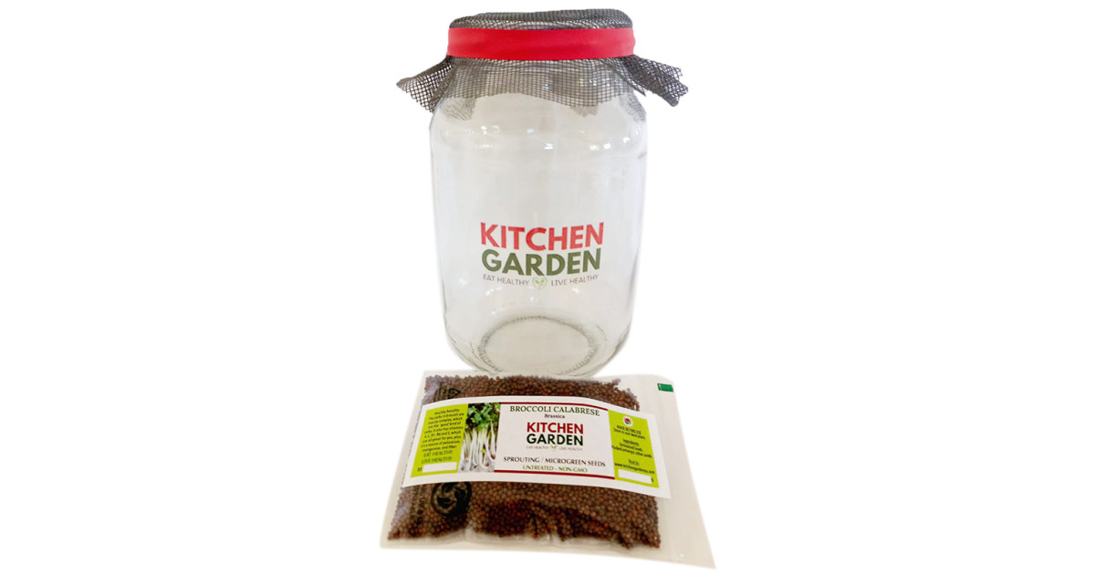 Buy Kitchen Garden Single Sprouter Set - Broccoli Seeds Online