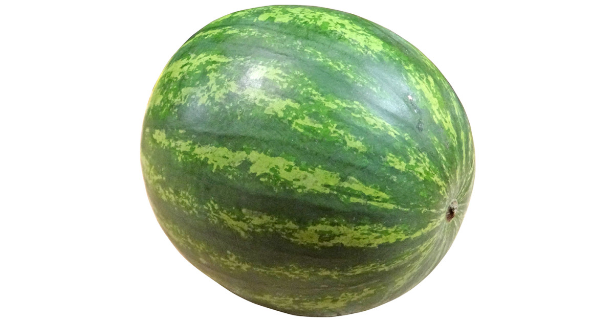 sandveld_seeds_congo_melon_wat