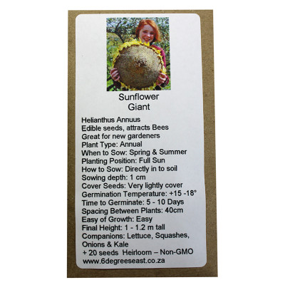 6 Degrees East Heirloom Flower Seeds - Sunflower - Giant