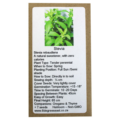 6 Degrees East Heirloom Herb Seeds - Stevia