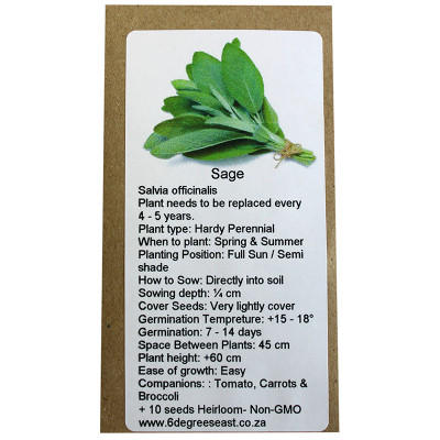 6 Degrees East Heirloom Herb Seeds - Sage