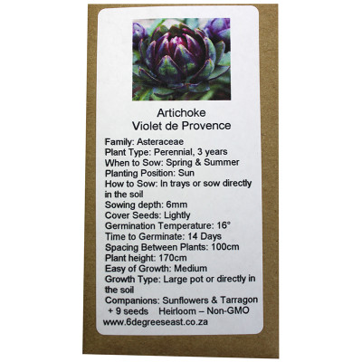 6 Degrees East Heirloom Veg Seeds - Artichoke - Violet de Provence