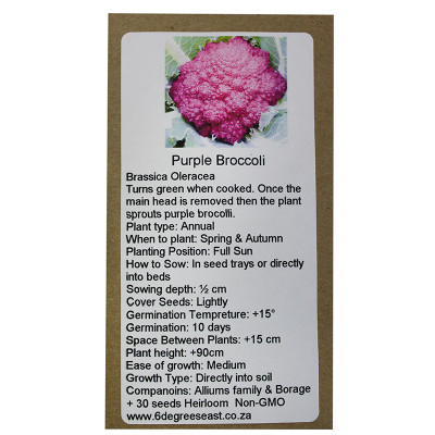 6 Degrees East Heirloom Veg Seeds - Broccoli - Purple Sprouting