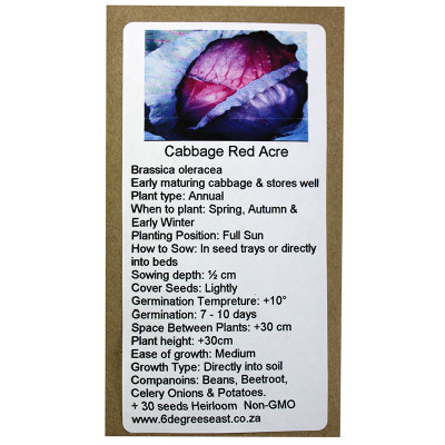 6 Degrees East Heirloom Veg Seeds - Cabbage - Red Acre