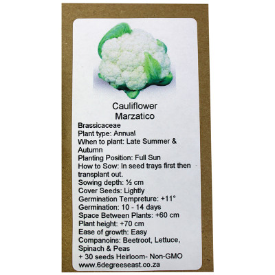 6 Degrees East Heirloom Veg Seeds - Cauliflower - Marzatico (White)