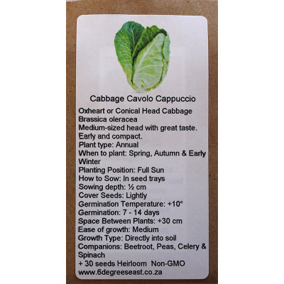 6 Degrees East Heirloom Veg Seeds - Wild Cabbage - Oxheart