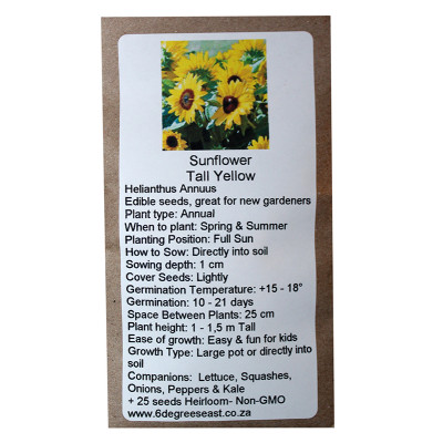 6 Degrees East Heirloom Flower  Seeds - Sunflower - Tall Yellow