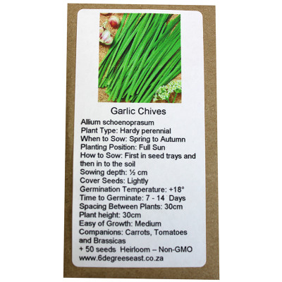 6 degrees east Herloom Herb Seeds - Garlic Chives - Allium schenprasum