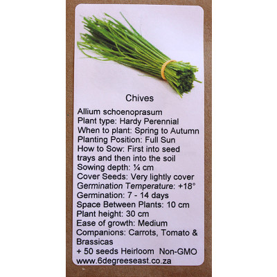 6 Degrees East Heirloom Herb Seeds - Chives - Erba Cipollina