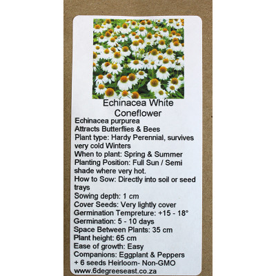 6 Degrees East Heirloom Flower Seeds - Echineacea - White