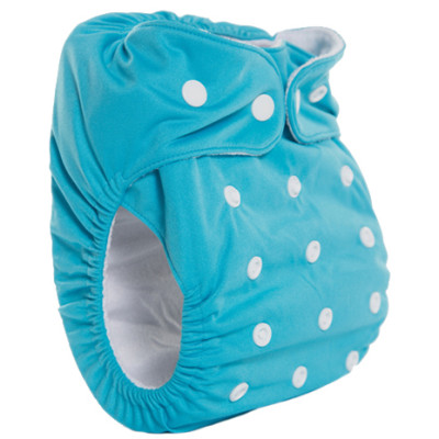Fancy Pants Bamboo Nappy with Microfibre Inserts, Splash (Turquoise)