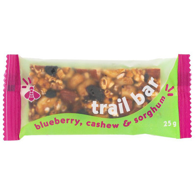 Gayleen's Trail Bar Blueberry Cashew Sorghum