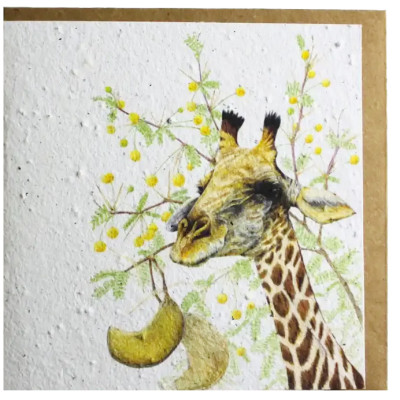 Growing Paper Giraffe with Camel Thorn Greeting Card
