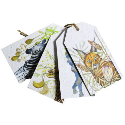 Growing Paper In The Veld Tags 