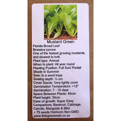 6 Degrees East Heirloom Herb Seeds - Mustard Greens - Florida Broadleaf