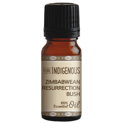 Pure Indigenous Zimbabwean Resurrection Bush Essential Oil