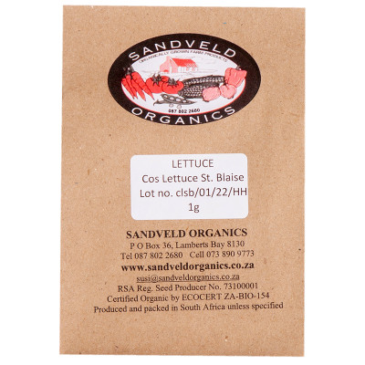 Sandveld Seeds Lettuce Cos  St. Blaise