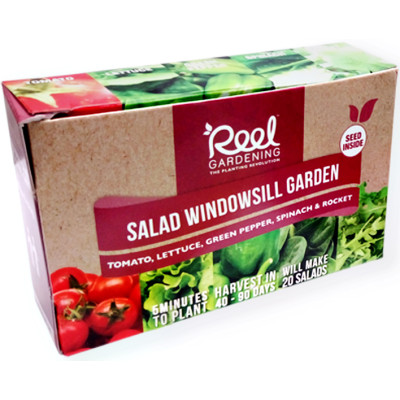 Reel Gardening Salad Windowsill