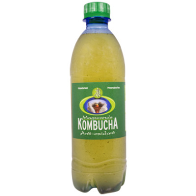 Magwana’s Kombucha Antioxidant, 500ml