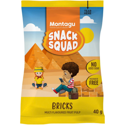Snack Squad: Fruit Bricks - Multi Flavoured