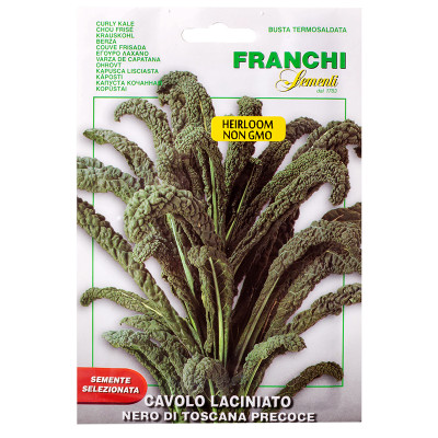 Franchi Semeni Nero di Toscana Curly Kale