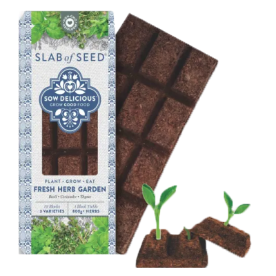 Sow Delicious Slab of Seed - Fresh Herb Garden