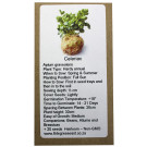 6 Degrees East Heirloom Veg Seeds -  Celery Tall Utah Apium Graveolens