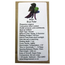 6 Degrees East Heirloom Veg Seeds - Bean - Blue Peter - Pole beans